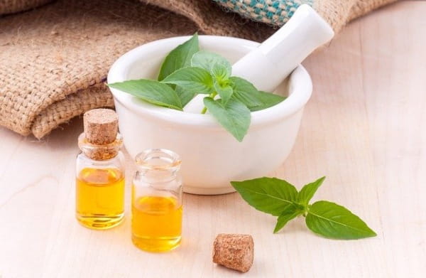 Essential oils are natural oils extracted from plants