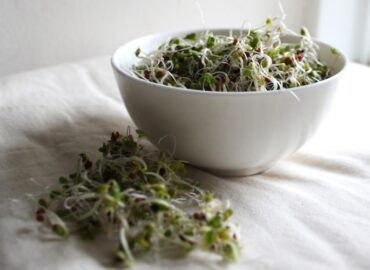 broccoli sprouts are extremely healthy and can easily be incorporated into your diet